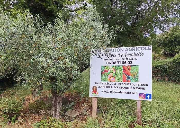 Lejlighed T2 - Pmr A 750 Metres De La Station Thermale D'avene *